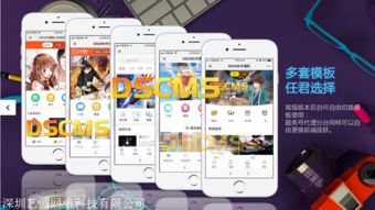 漫畫小說源碼