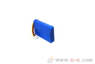 聚合物鋰電池工廠那家